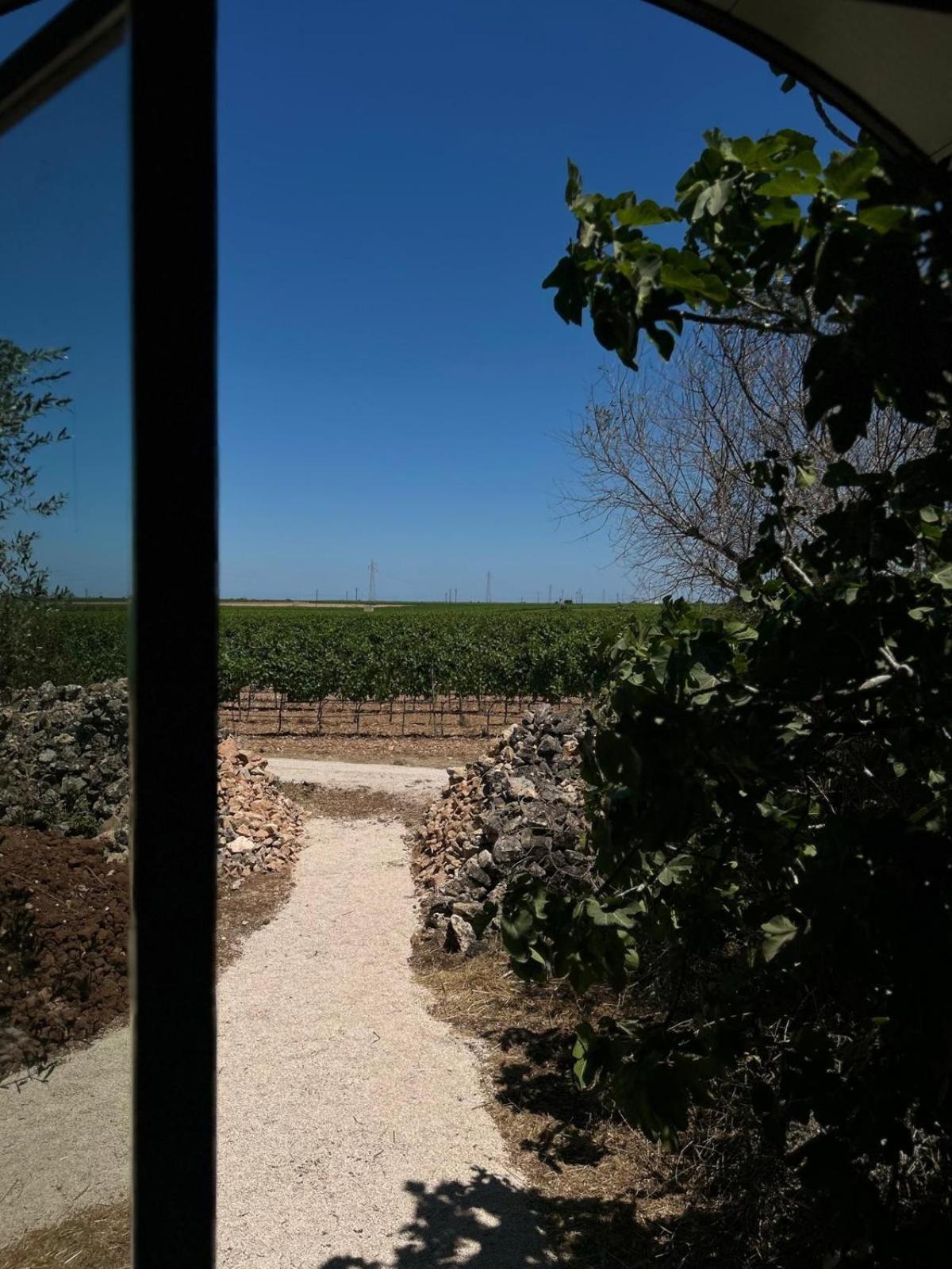 Masseria Li Reni 曼杜里亚 外观 照片